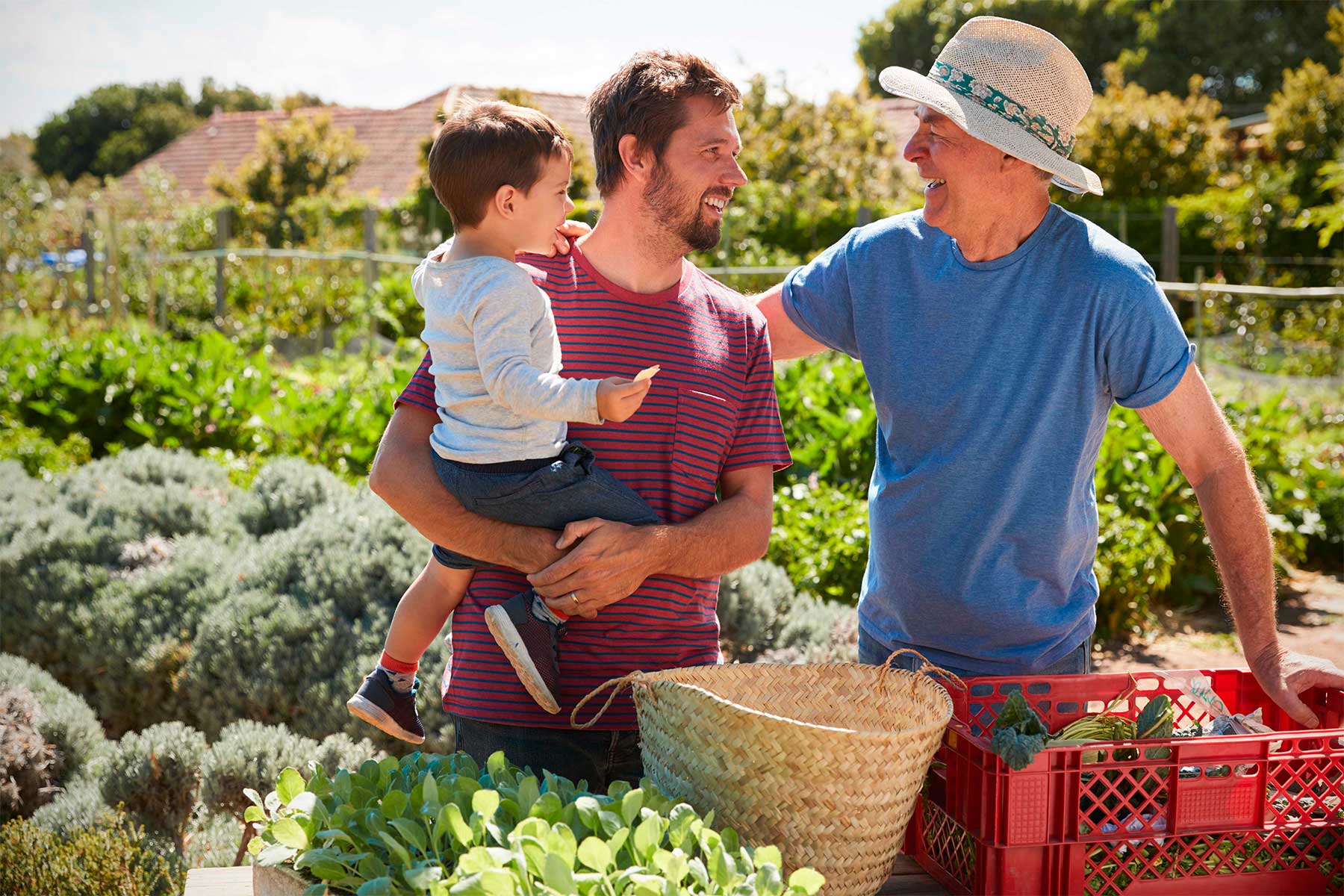você conhece os principais modelos de caixas agrícolas? Veja agora mesmo neste artigo