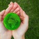 Sustentabilidade O Compromisso Eco-friendly da CaixaPlast