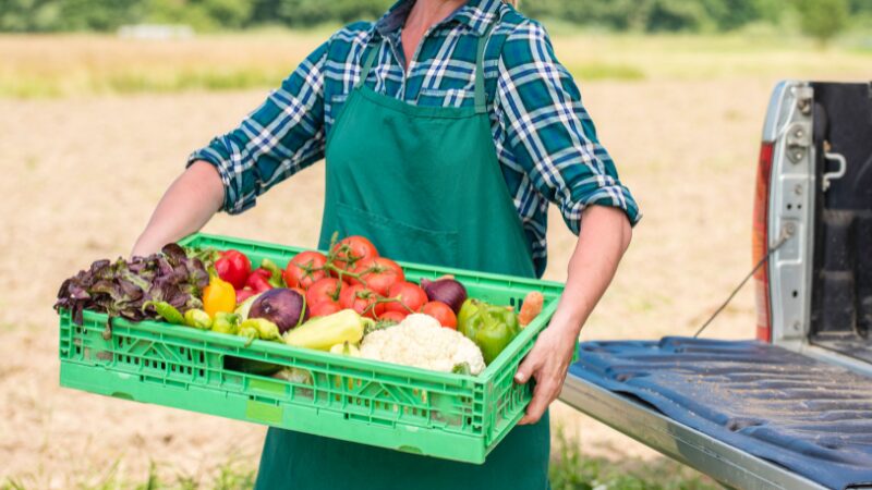 Transporte de produtos perecíveis principais cuidados para garantir a qualidade