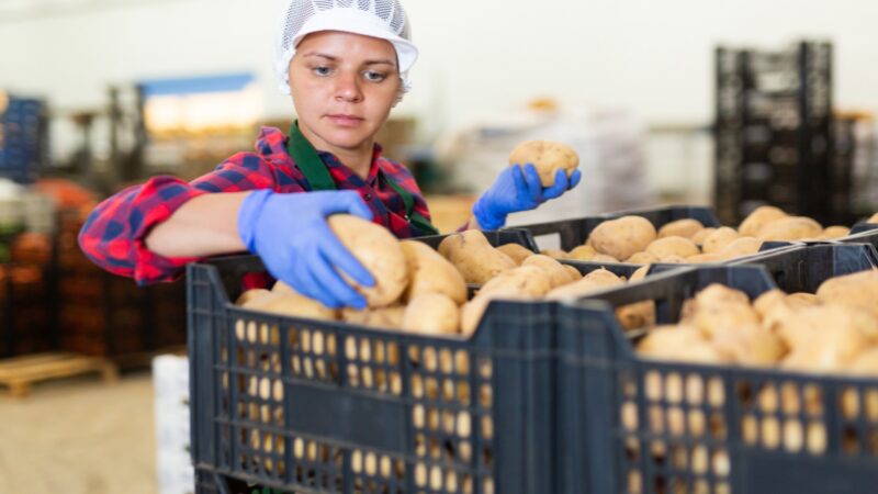 Descubra por que as caixas plásticas da CaixaPlast são perfeitas para qualquer tipo de negócio
